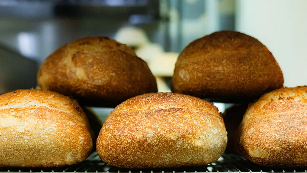 Hogazas de pan de masa madre recién horneadas en una panadería de San Francisco