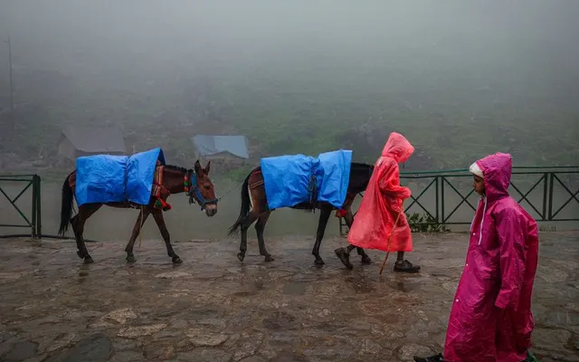 Poncho de lluvia con joroba para viajar - La Tienda del Viajero CholloTravel